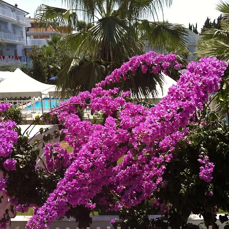 Centro Vacanze Domus M.g. Hotel